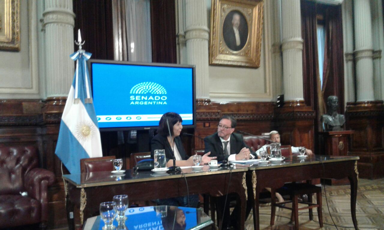 exponiendo ante la Comisión de justicia y asuntos penales del senado